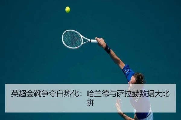 ying-chao-jin-xue-zheng-duo-bai-re-hua-ha-lan-de-yu-sa-la-he-shu-ju-da-bi-pin-2-197.jpg