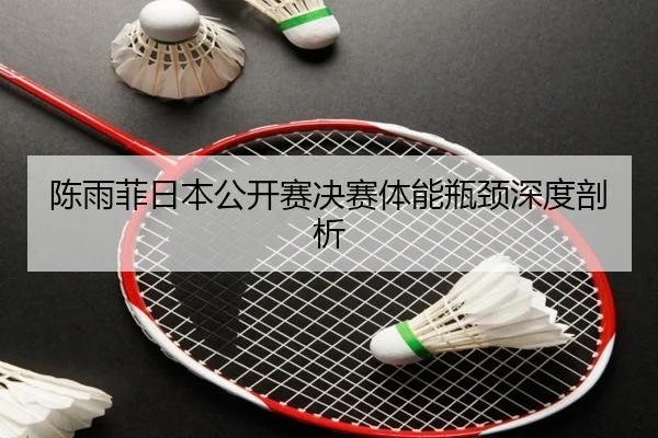 chen-yu-fei-ri-ben-gong-kai-sai-jue-sai-ti-neng-ping-jing-shen-du-pou-xi-2-314.jpg