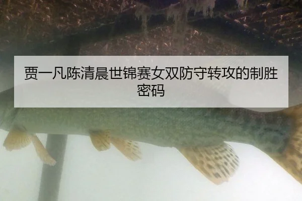 jia-yi-fan-chen-qing-chen-shi-jin-sai-nv-shuang-fang-shou-zhuan-gong-de-zhi-sheng-mi-ma-3-963.jpg