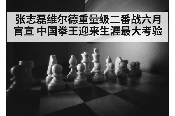 张志磊维尔德重量级二番战六月官宣 中国拳王迎来生涯最大考验